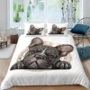 Bulldog Duvet Cover French Bulldogs Bedding Set Twin Polyester Chocolate Puppy Pet Doggy Animal Quilt Cover 1 - French Bulldog Gifts Store