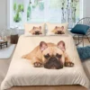 Bulldog Duvet Cover French Bulldogs Bedding Set Twin Polyester Chocolate Puppy Pet Doggy Animal Quilt Cover - French Bulldog Gifts Store