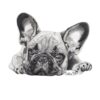 flat750x075f pad750x750f8f8f8 7 - French Bulldog Gifts Store