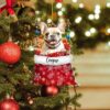il fullxfull.5412258992 16op - French Bulldog Gifts Store