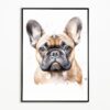 il fullxfull.5548641941 40qq - French Bulldog Gifts Store