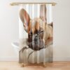 urshower curtain closedsquare1000x1000.1 18 - French Bulldog Gifts Store